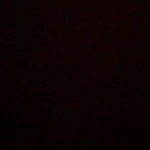 Meet your Posher, Macey